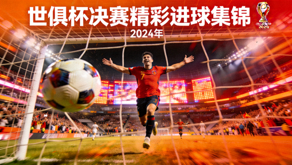 世俱杯决赛精彩进球集锦视频封面画面